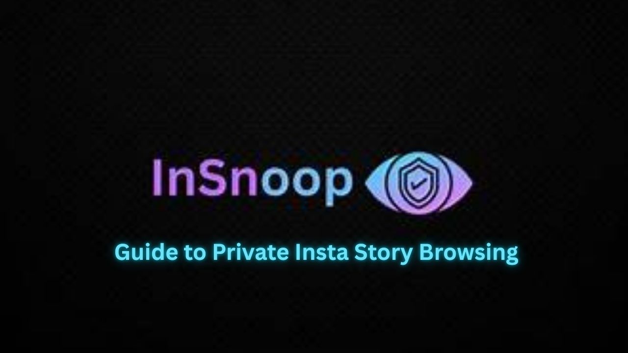 InSnoop: Guide to Private Instagram Story Browsing 