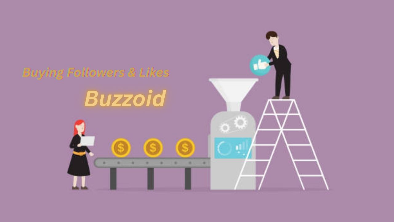 Buzzoid Key Facts About Buying Instagram and TikTok Followers & Likes