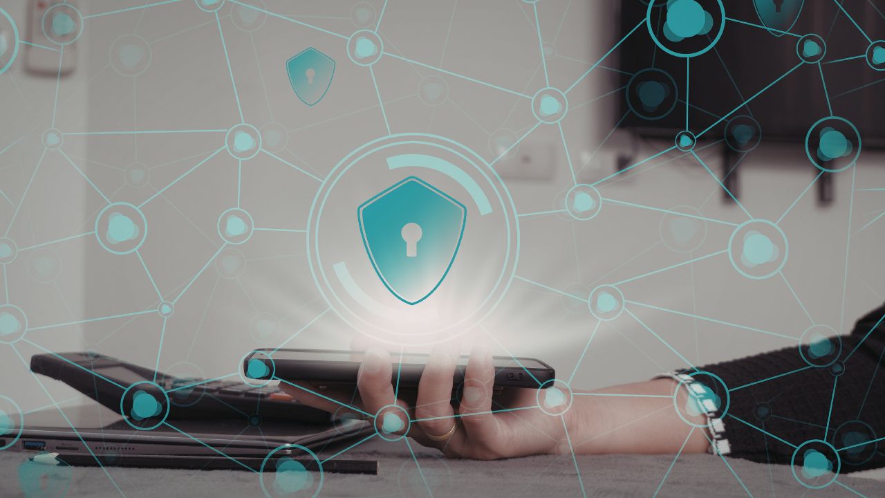 Dolfier: A New Framework in the Digital Ecosystem