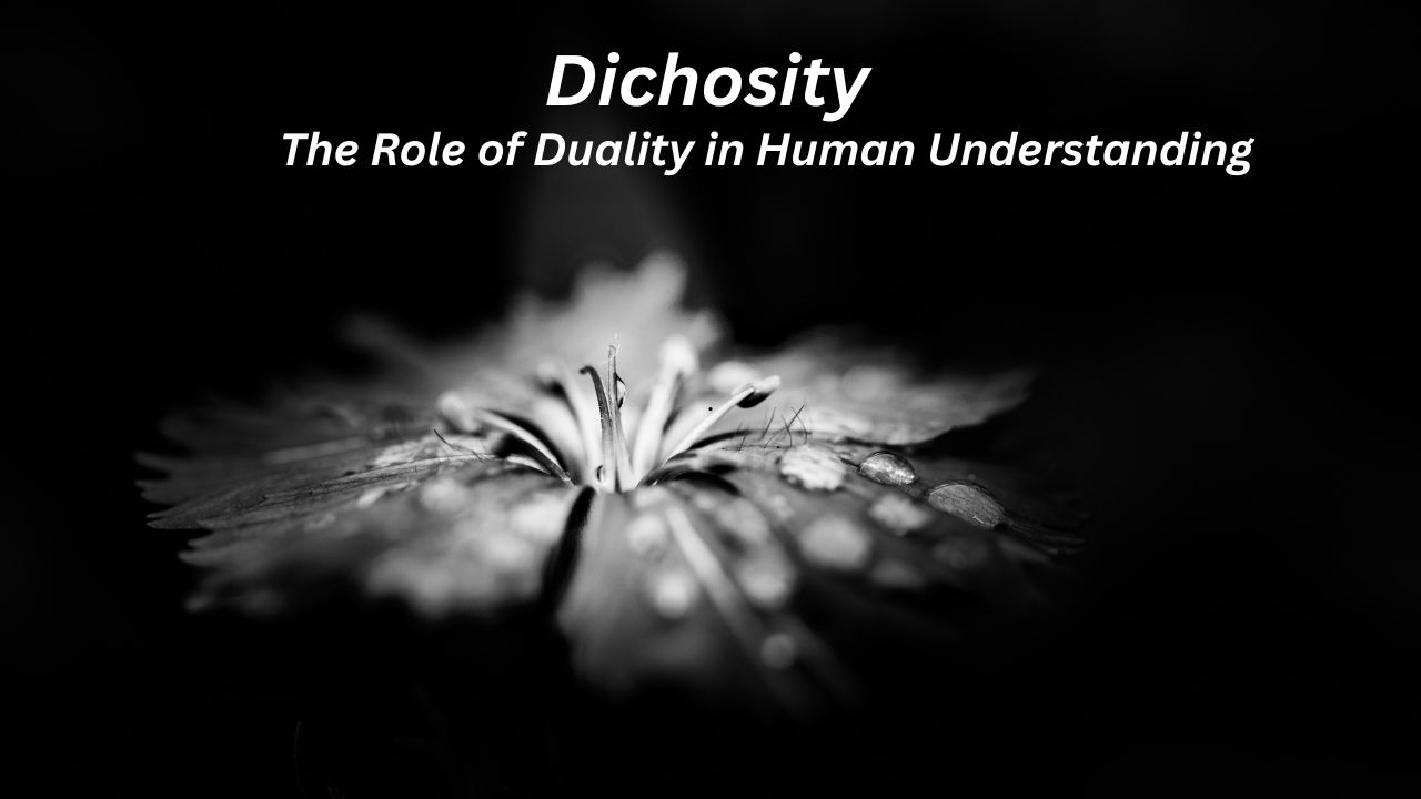 Dichosity